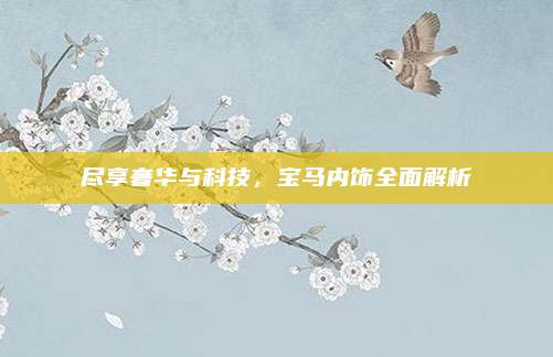 尽享奢华与科技,宝马内饰全面解析