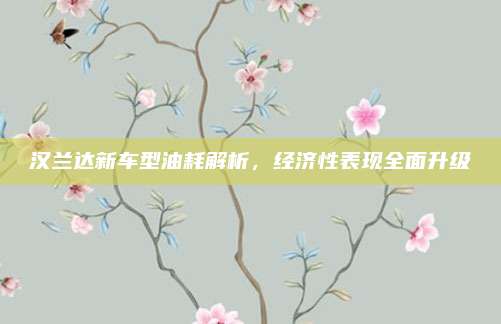汉兰达新车型油耗解析，经济性表现全面升级