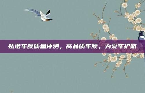 钛诺车膜质量评测,高品质车膜,为爱车护航