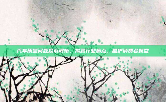 汽车质量问题投诉解析,揭露行业痛点,维护消费者权益