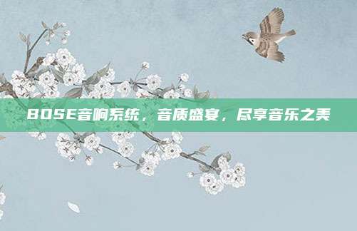 BOSE音响系统,音质盛宴,尽享音乐之美