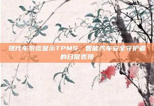 现代车系统显示TPMS,智能汽车安全守护者的日常表现