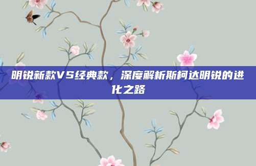 明锐新款VS经典款,深度解析斯柯达明锐的进化之路