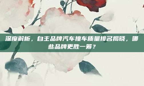 深度解析,自主品牌汽车撞车质量排名揭晓,哪些品牌更胜一筹?