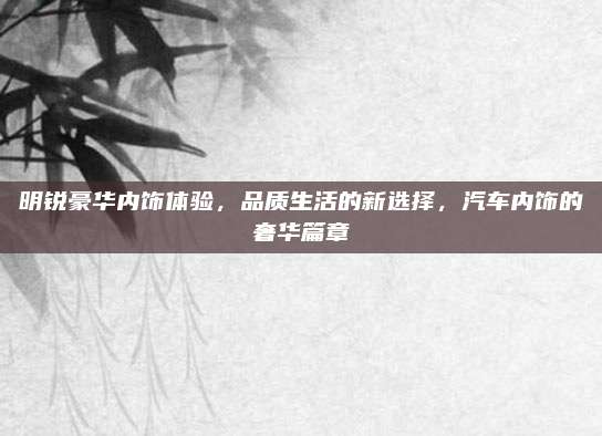 明锐豪华内饰体验，品质生活的新选择，汽车内饰的奢华篇章
