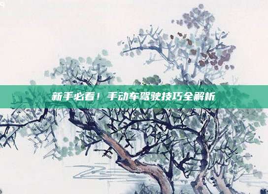 新手必看!手动车驾驶技巧全解析