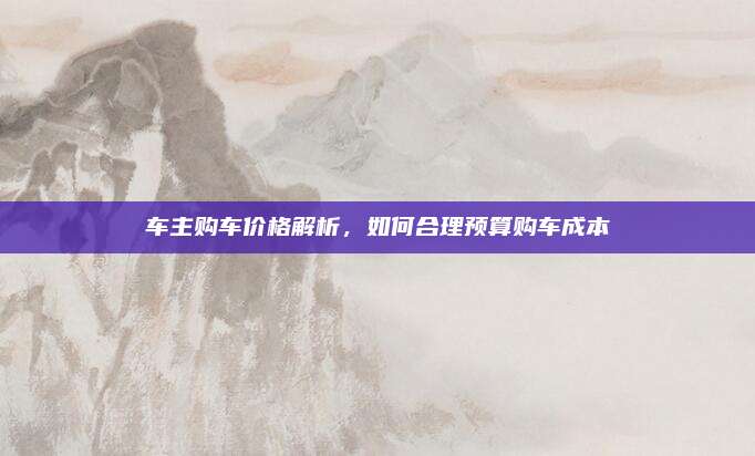 车主购车价格解析,如何合理预算购车成本