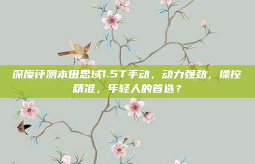 深度评测本田思域1.5T手动,动力强劲,操控精准,年轻人的首选?