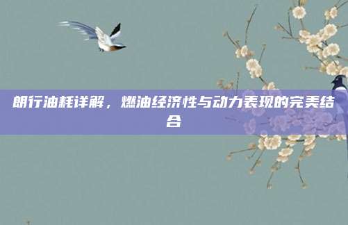 朗行油耗详解,燃油经济性与动力表现的完美结合