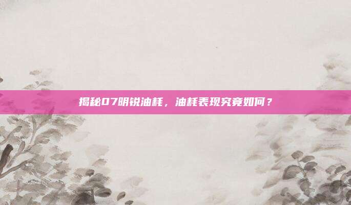揭秘07明锐油耗,油耗表现究竟如何?