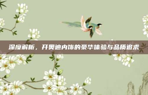 深度解析,开奥迪内饰的豪华体验与品质追求