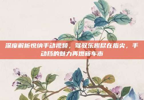 深度解析悦纳手动视频,驾驭乐趣尽在指尖,手动挡的魅力再燃新车市