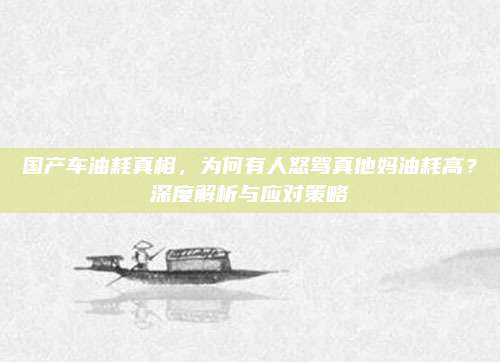 国产车油耗真相,为何有人怒骂真他妈油耗高?深度解析与应对策略