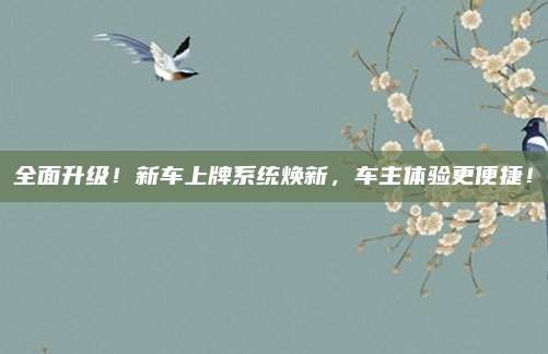 全面升级！新车上牌系统焕新，车主体验更便捷！