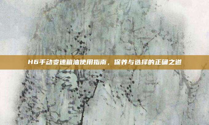 H6手动变速箱油使用指南,保养与选择的正确之道