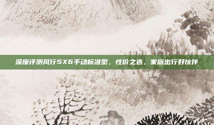 深度评测风行SX6手动标准型，性价之选，家庭出行好伙伴