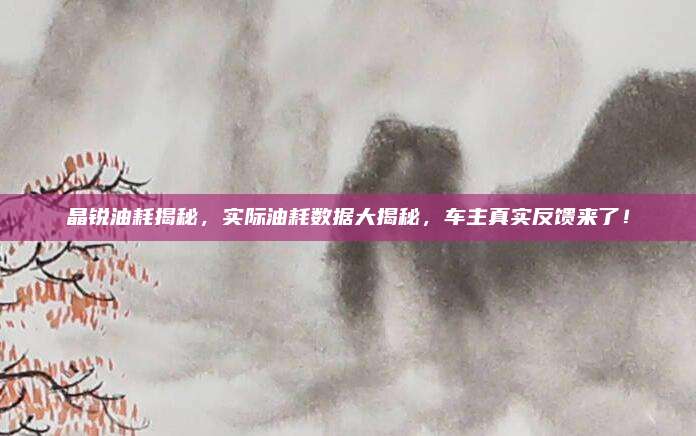 晶锐油耗揭秘,实际油耗数据大揭秘,车主真实反馈来了!