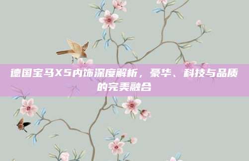 德国宝马X5内饰深度解析,豪华、科技与品质的完美融合