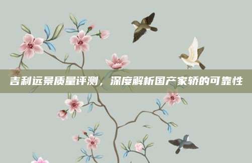 吉利远景质量评测,深度解析国产家轿的可靠性