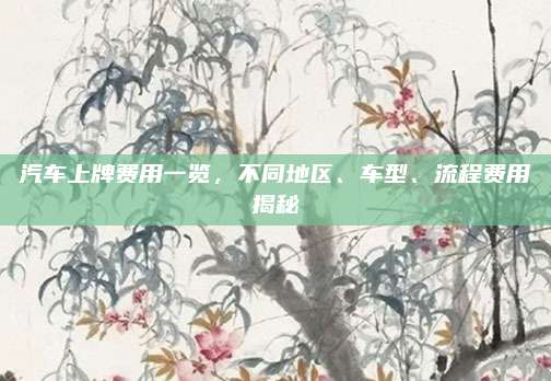 汽车上牌费用一览,不同地区、车型、流程费用揭秘