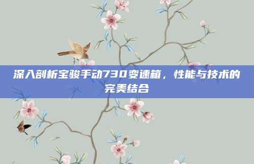 深入剖析宝骏手动730变速箱,性能与技术的完美结合