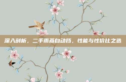 深入剖析,二手雨燕自动挡,性能与性价比之选
