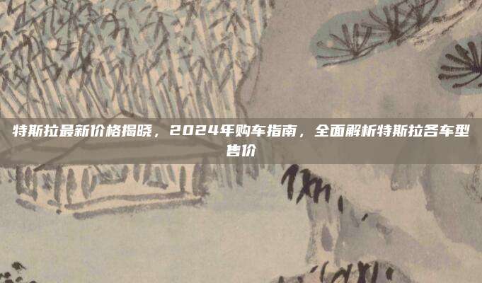 特斯拉最新价格揭晓,2024年购车指南,全面解析特斯拉各车型售价