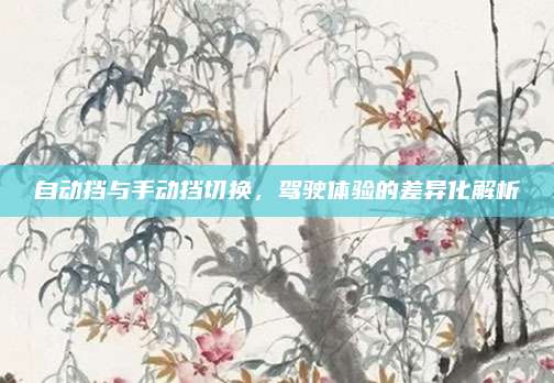 自动挡与手动挡切换,驾驶体验的差异化解析