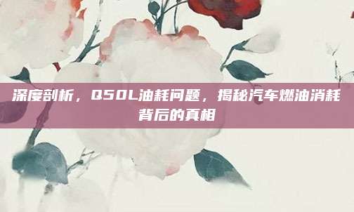 深度剖析,Q50L油耗问题,揭秘汽车燃油消耗背后的真相