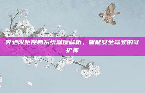 奔驰限距控制系统深度解析,智能安全驾驶的守护神