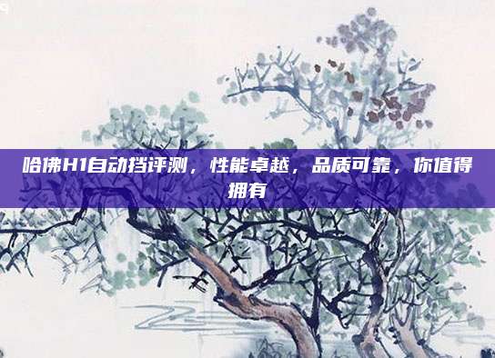 哈佛H1自动挡评测,性能卓越,品质可靠,你值得拥有
