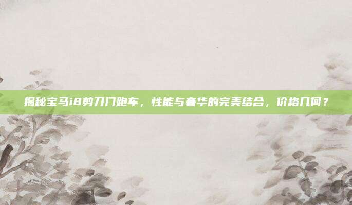 揭秘宝马i8剪刀门跑车,性能与奢华的完美结合,价格几何?