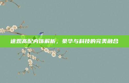途观高配内饰解析，豪华与科技的完美融合
