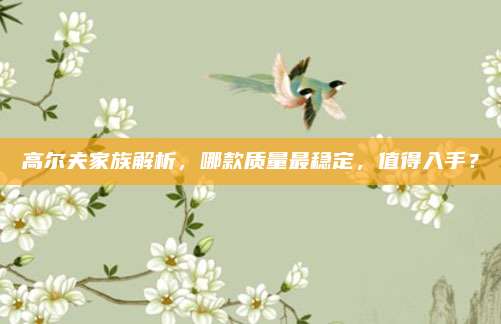 高尔夫家族解析,哪款质量最稳定,值得入手?