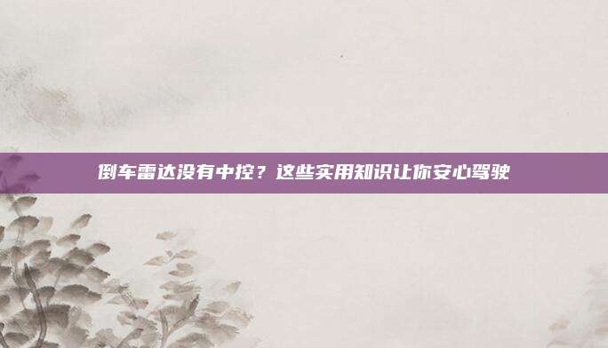 倒车雷达没有中控?这些实用知识让你安心驾驶