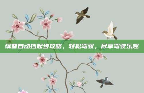缤智自动挡起步攻略，轻松驾驭，尽享驾驶乐趣