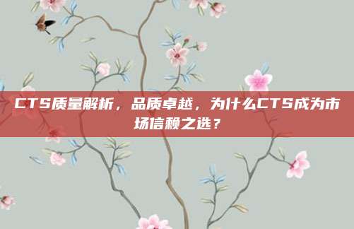 CTS质量解析,品质卓越,为什么CTS成为市场信赖之选?