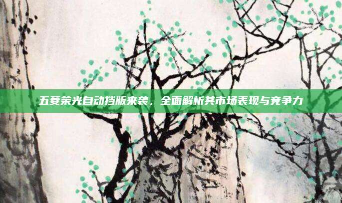 五菱荣光自动挡版来袭,全面解析其市场表现与竞争力