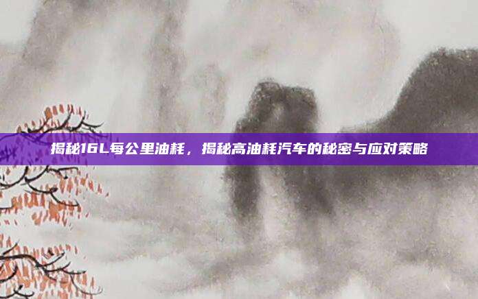 揭秘16L每公里油耗,揭秘高油耗汽车的秘密与应对策略