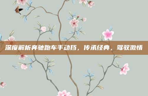 深度解析奔驰跑车手动挡,传承经典,驾驭激情