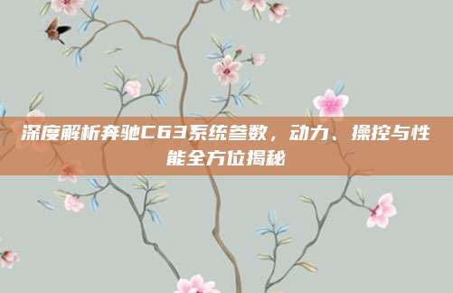 深度解析奔驰C63系统参数,动力、操控与性能全方位揭秘