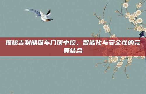 揭秘吉利熊猫车门锁中控,智能化与安全性的完美结合