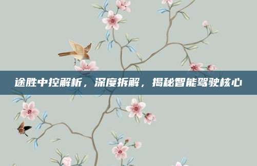 途胜中控解析，深度拆解，揭秘智能驾驶核心