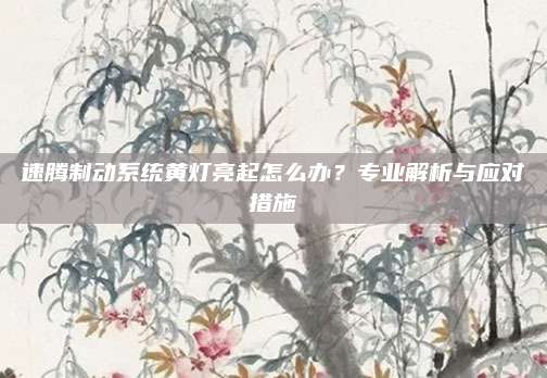 速腾制动系统黄灯亮起怎么办？专业解析与应对措施
