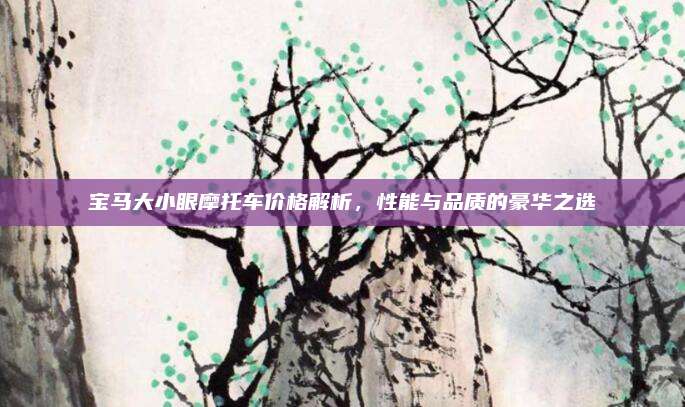 宝马大小眼摩托车价格解析，性能与品质的豪华之选
