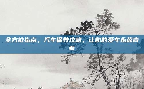 全方位指南，汽车保养攻略，让你的爱车永葆青春