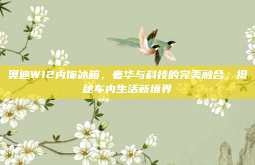 奥迪W12内饰冰箱，奢华与科技的完美融合，揭秘车内生活新境界