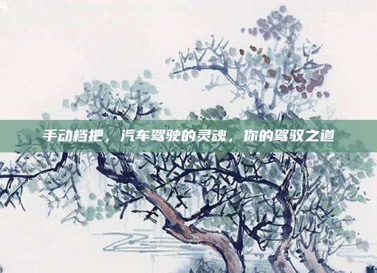 手动档把，汽车驾驶的灵魂，你的驾驭之道