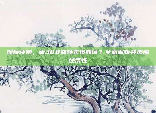 深度评测，新308油耗表现如何？全面解析其燃油经济性
