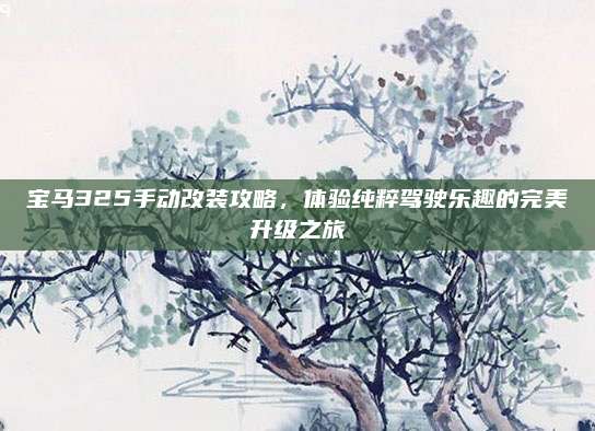 宝马325手动改装攻略，体验纯粹驾驶乐趣的完美升级之旅